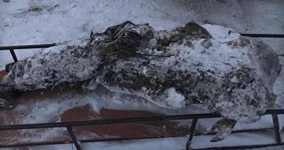 Под Ивделем найдено тело, предположительно, утонувшего летом манси