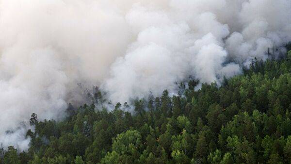 Минприроды России предложило тушить все лесные пожары, невзирая на удаленность очагов