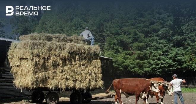 Вузам Татарстана будут выдавать гранты на проведение занятий по сельскому хозяйству