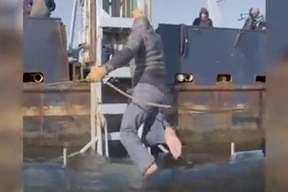 Ученые укротили смертоносную акулу-людоеда и затащили ее на судно - lenta.ru - Шотландия - провинция Новая