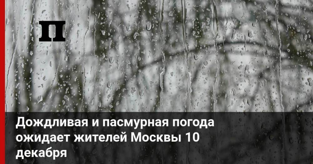 Дождливая и пасмурная погода ожидает жителей Москвы 10 декабря