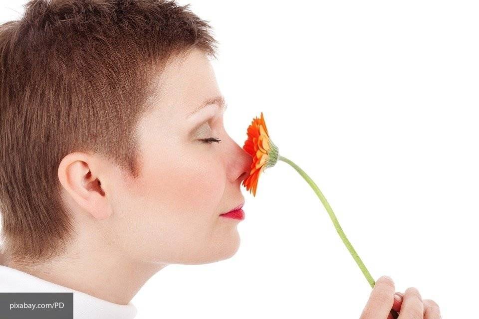 Эксперты объяснили, почему запахи могут вызывать чувство ностальгии
