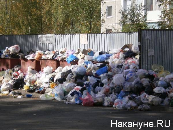 Минприроды предупредило регионы об угрозе мусорного коллапса