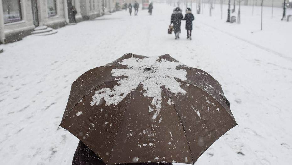 ВЦИОМ выяснил отношение россиян к зиме