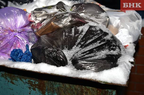 Минприроды предупредило об опасности мусорного коллапса в регионах