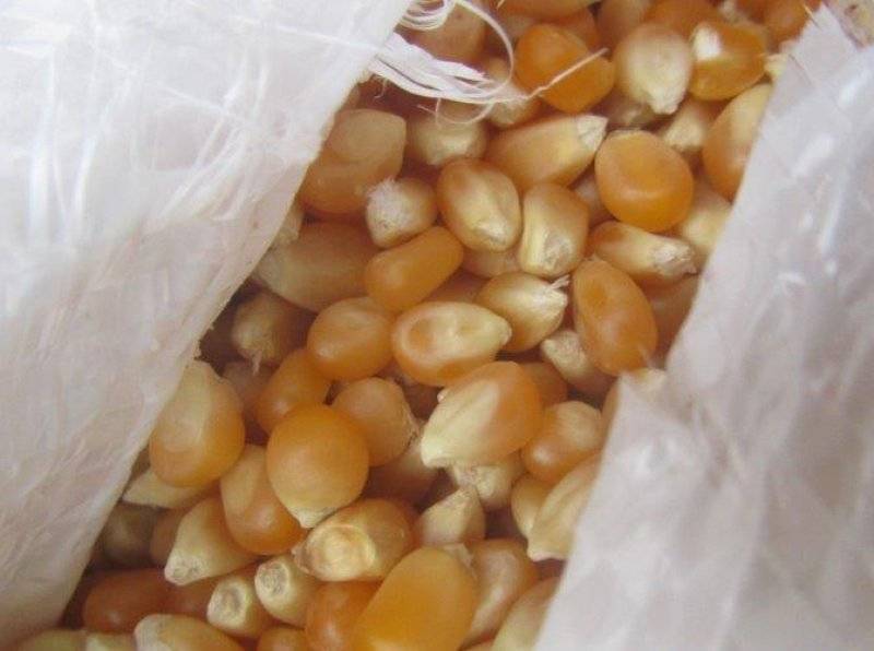 В Петербурге задержали 25 тонн зараженной кукурузы для попкорна