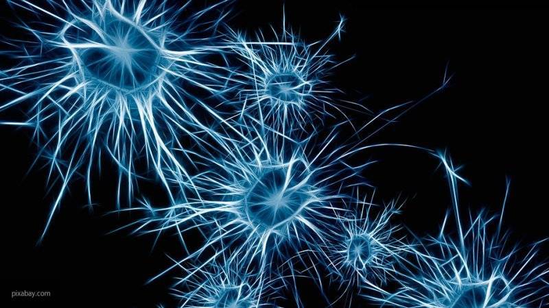 Ученые объяснили взаимосвязь нейронов и психических расстройств у человека