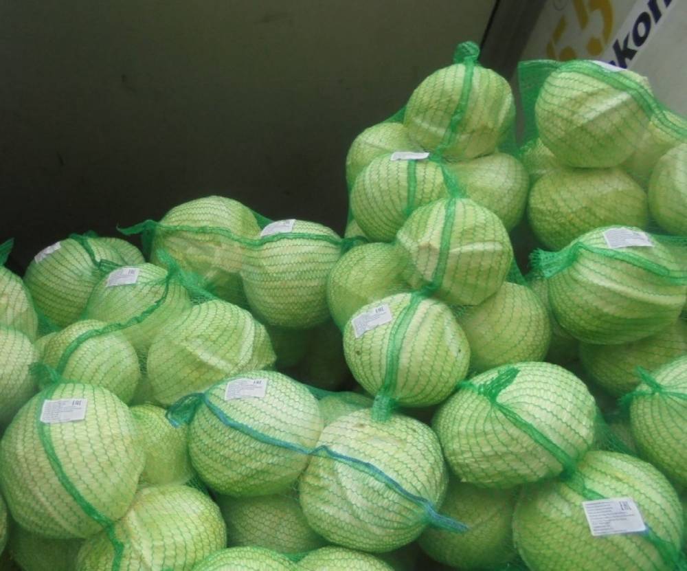 Россельхознадзор запретил поставку 20 тонн капусты для «фирмы-призрака» Ленобласти