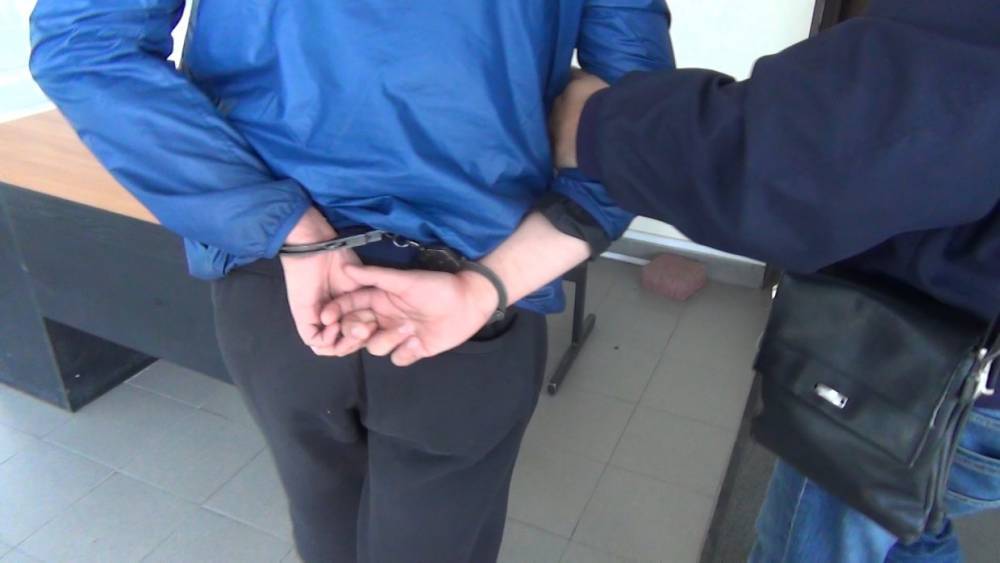 32-летний житель Плесецкого района украл телефон у 9-летней девочки