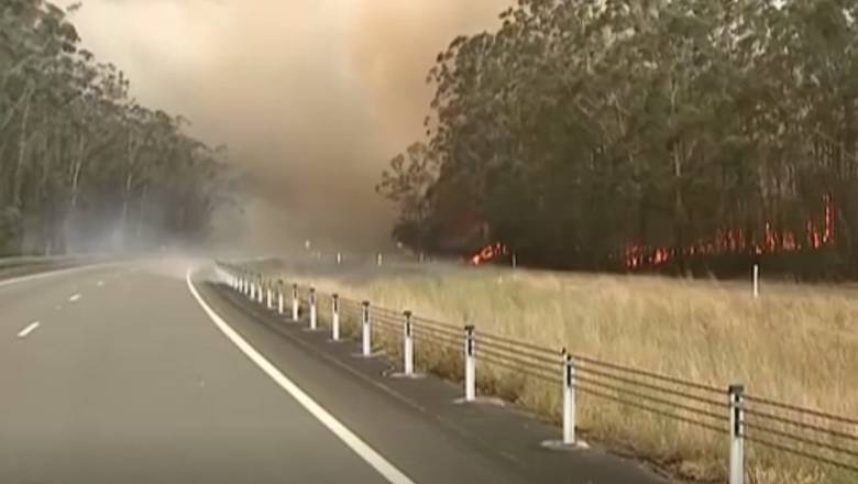Столицу Австралии накрыл дым от лесных пожаров