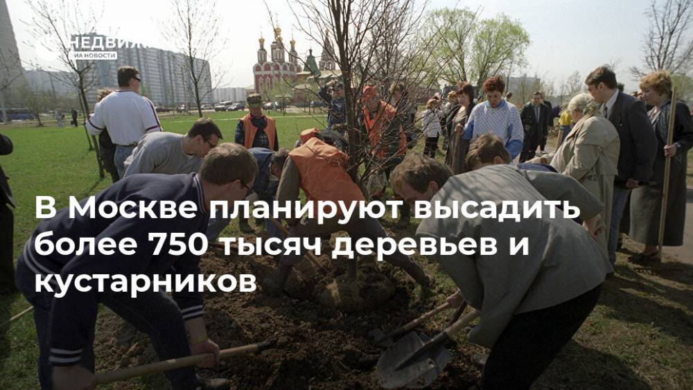 В Москве планируют высадить более 750 тысяч деревьев и кустарников