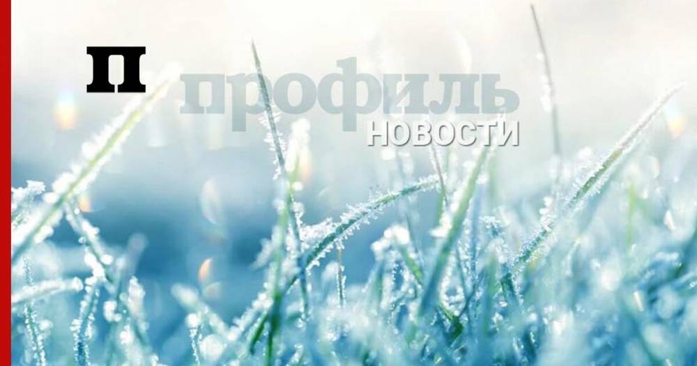 Прогноз погоды на три дня в Москве и Петербурге: с 11 по 13 декабря