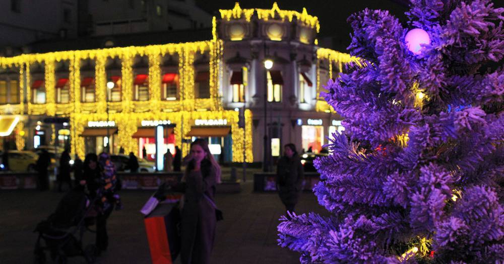 Рождественские елки в Москве защитят от вандалов