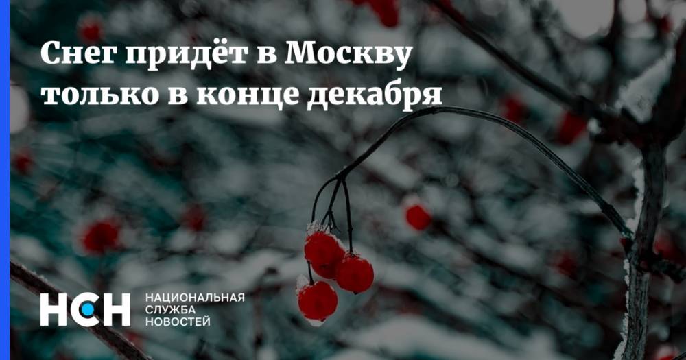 Снег придёт в Москву только в конце декабря