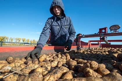 «Молодежка ОНФ» раздала подтопленцам почти 6 тонн овощей