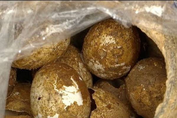 В китайской гробнице нашли 500-летние целые яйца