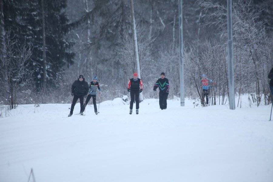 На северо-востоке Москвы проложат 40 лыжных трасс