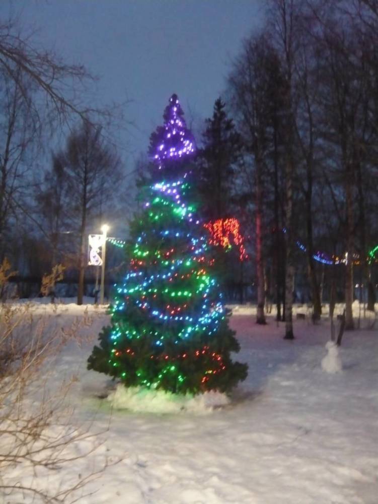 В Майском парке Архангельска установили шестиметровую елку