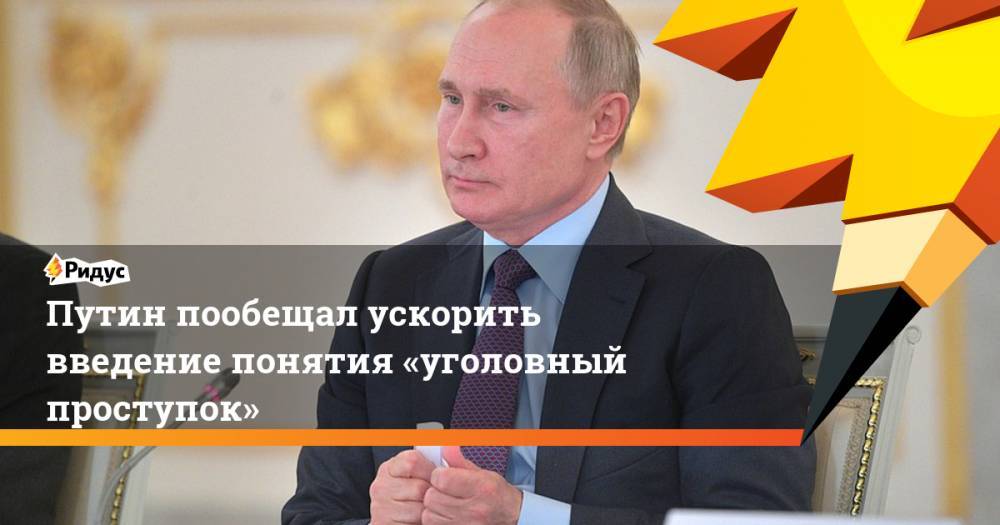Путин пообещал ускорить введение понятия «уголовный проступок»