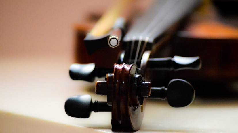 Нижегородский музей получит скрипку XIX века, конфискованную на границе