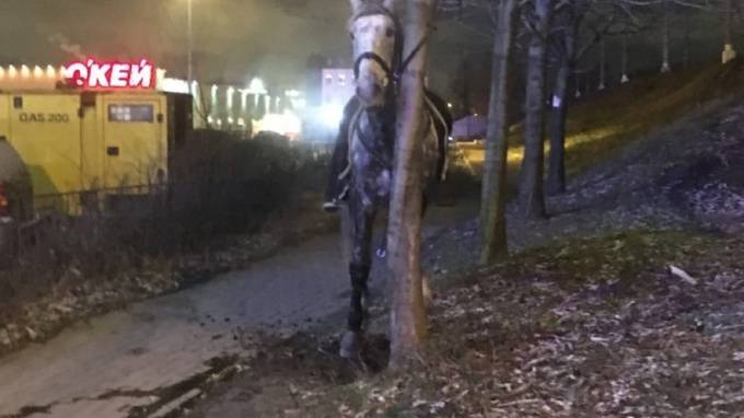 Скинувшую наездницу лошадь задержали у метро "Электросила"