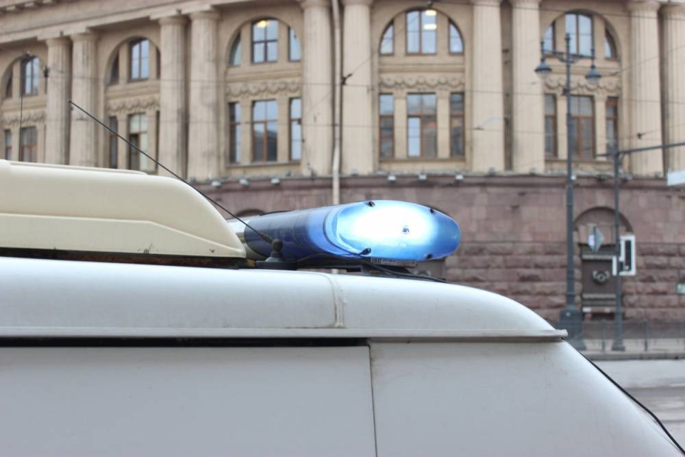 Петербургские полицейские раскрыли кражу у гостьи города