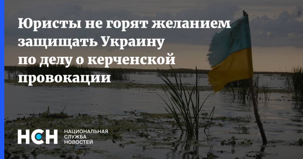 Юристы не горят желанием защищать Украину по делу о керченской провокации