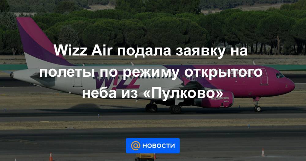 Wizz Air подала заявку на полеты по режиму открытого неба из «Пулково»