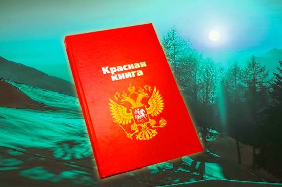 Минприроды представило список животных для новой редакции Красной книги России