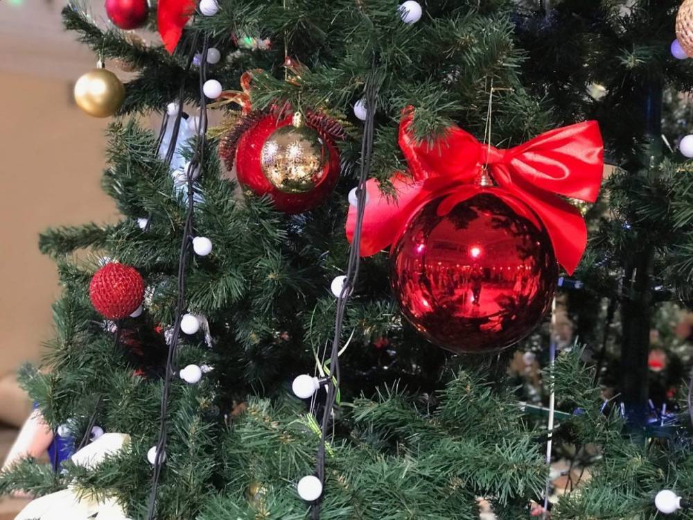 В первую неделю декабря пользователи OZON из Петербурга чаще всего покупали елки и мишуру
