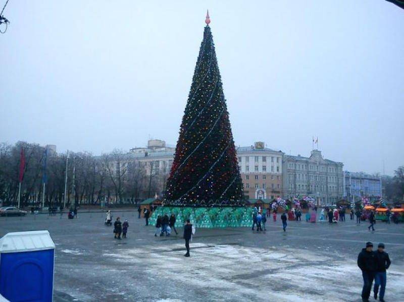 Пенсионеры «обчистили» елку на центральной площади