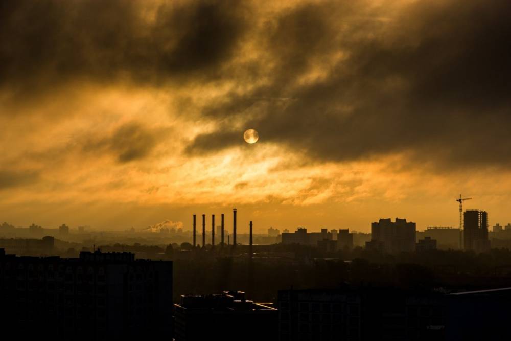 В Петербурге обсудили сотрудничество с Финляндией для мониторинга качества воздуха