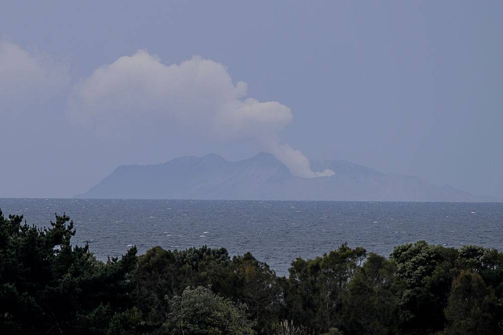 США пришлют в Новую Зеландию миллион квадратных сантиметров кожи для обгоревших при извержении вулкана