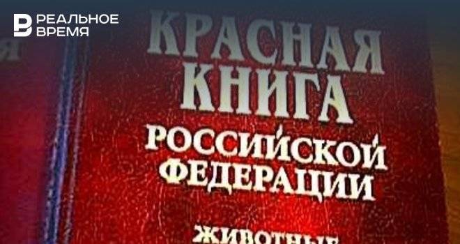 В России подготовили новую Красную книгу впервые с 1997 года