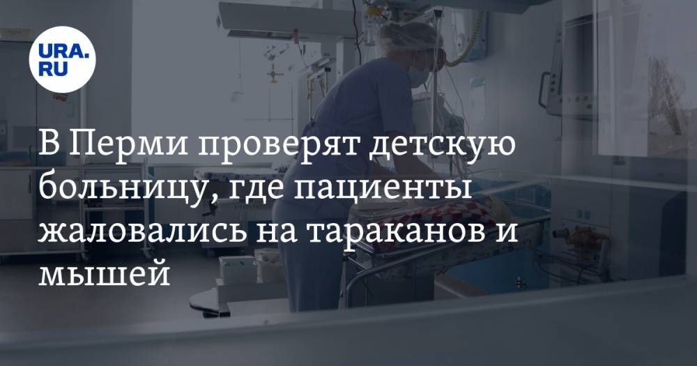 В Перми проверят детскую больницу, где пациенты жаловались на тараканов и мышей