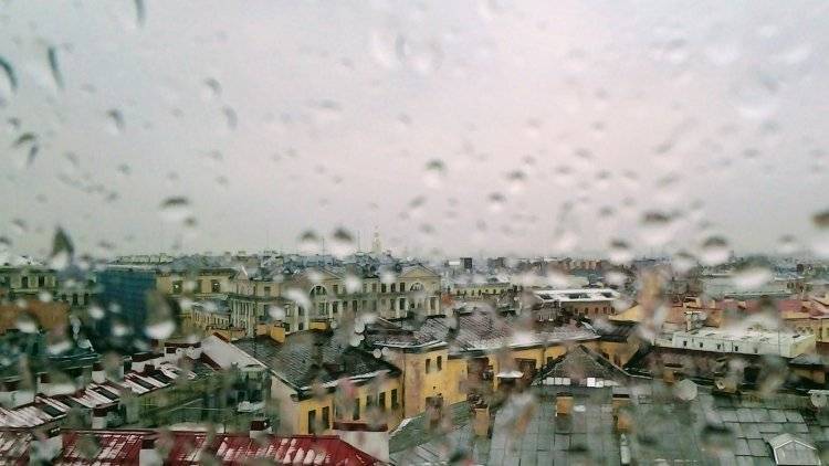 Мокрый снег выпадет в Петербурге в четверг