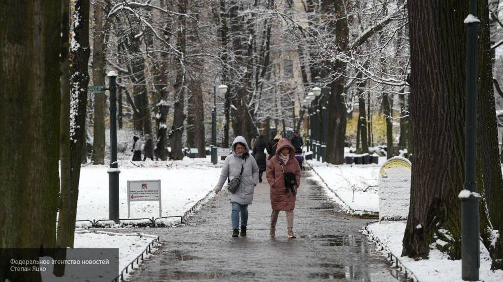 В Гидрометцентре предупредили россиян о волнах холода зимой