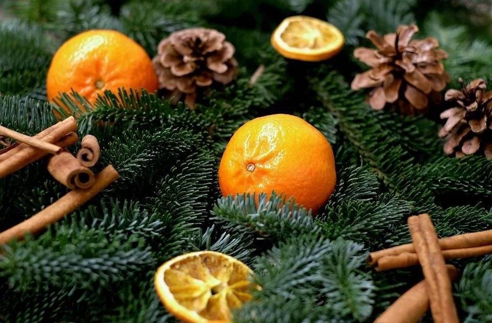 Диетолог рассказал, что выбрать для новогоднего стола — мандарины или апельсины