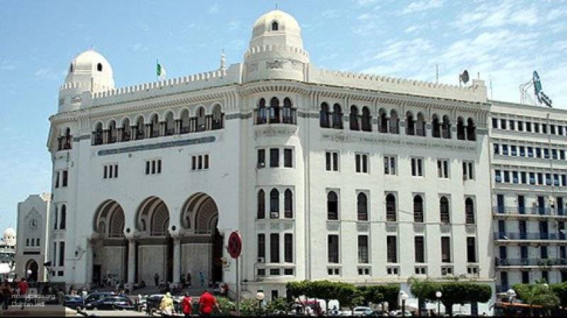 Бывшие министры туризма и культуры претендуют на кресло президента Алжира