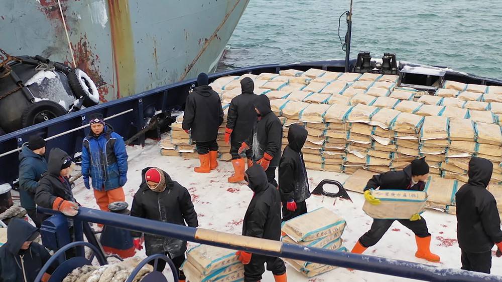 На Сахалине арестовали судно с сотнями тонн рыбы
