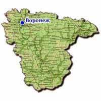 Экономика Воронежской области занимает третье место в ЦФО