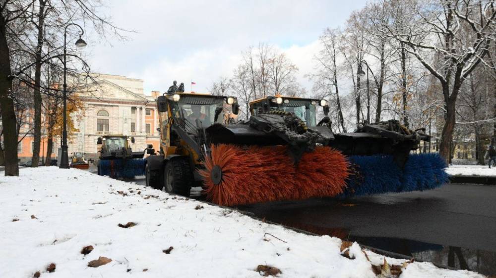В Петербурге инспекция проверила уборку на улицах и крышах города