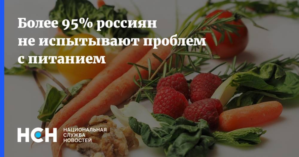 Более 95% россиян не испытывают проблем с питанием