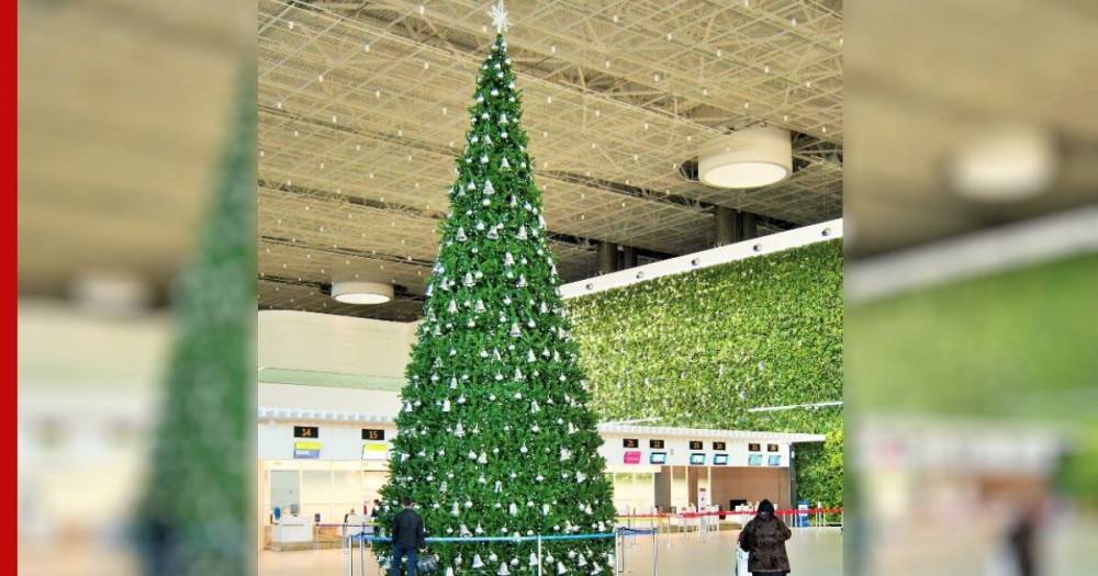 В крымском аэропорту установили самую высокую елку