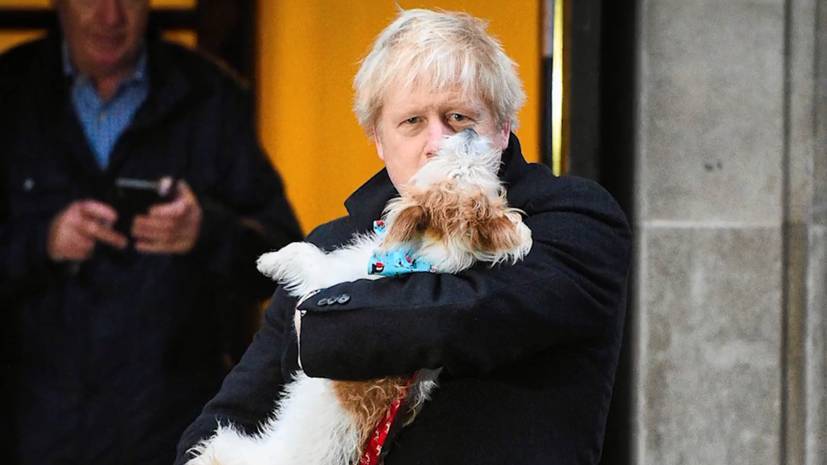 Собачья работа: пёс Бориса Джонсона сопроводил его на голосование на парламентских выборах