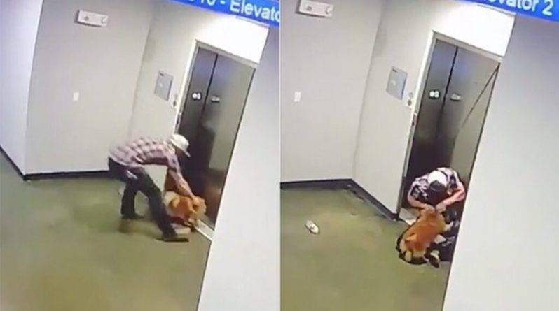 Находчивый сосед спас от неминуемой гибели собачку, чей поводок застрял в двери лифта (видео)