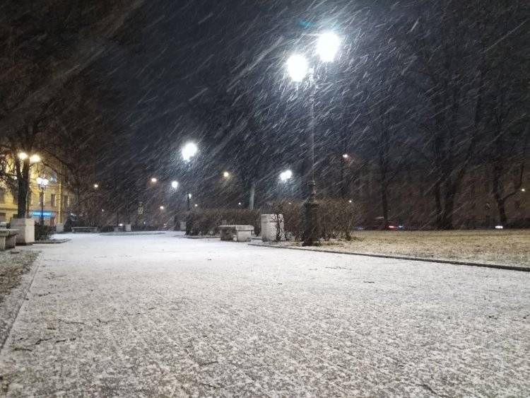 Выпавший за час снег в Петербурге уже успел растаять