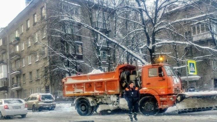 Петербург вновь ненадолго присыпало снегом