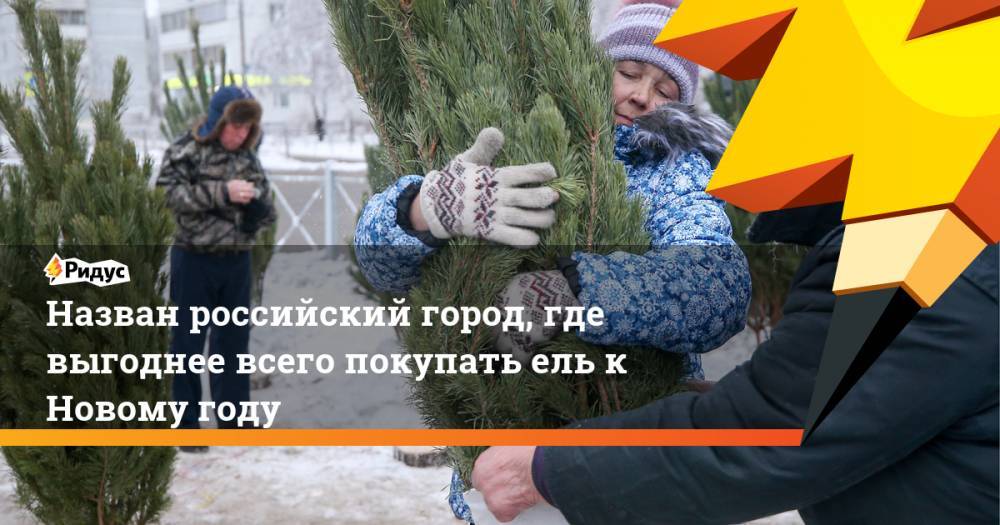 Назван российский город, где выгоднее всего покупать ель к Новому году