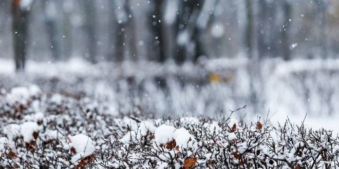 Синоптики прогнозируют снег в Москве 13 декабря
